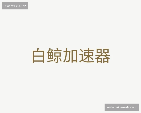 认识白鲸加速器